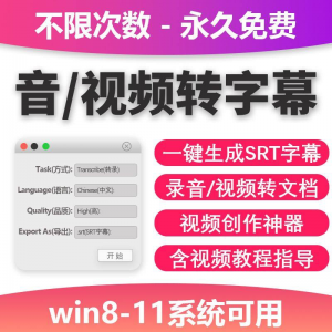 视频转字幕软件srt字幕提取制作多种语言选择不限时长win电脑使用-淘宝虚拟仓